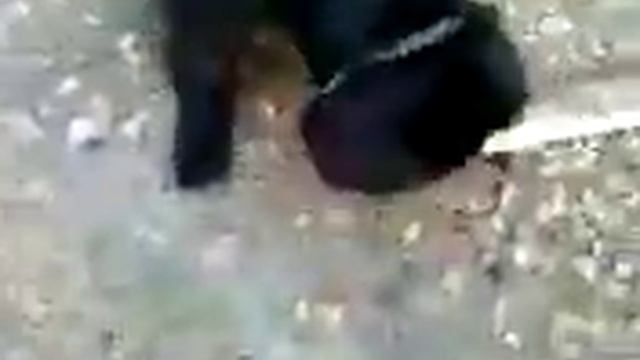 Дерево - Знак заботы и любви смотреть онлайн