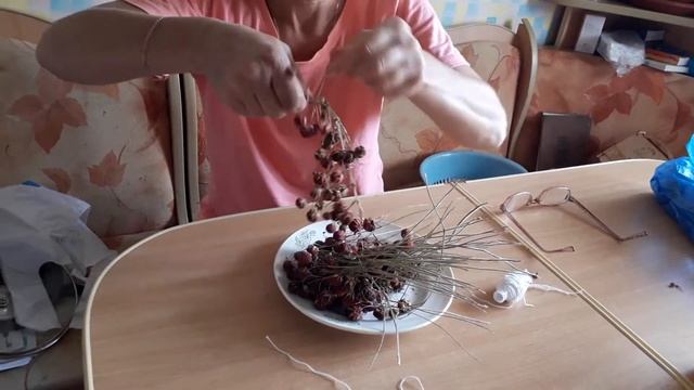 Как сушить землянику? смотреть онлайн
