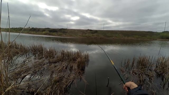 Ловля на удочку весной. Скоро на всех водоемах! смотреть онлайн