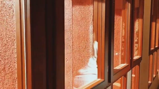 Visiting Casa Vicens: Gaudi's first house in Barcelona + Thai place смотреть онлайн