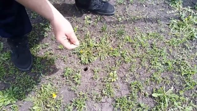 Ловля тарантула смотреть онлайн