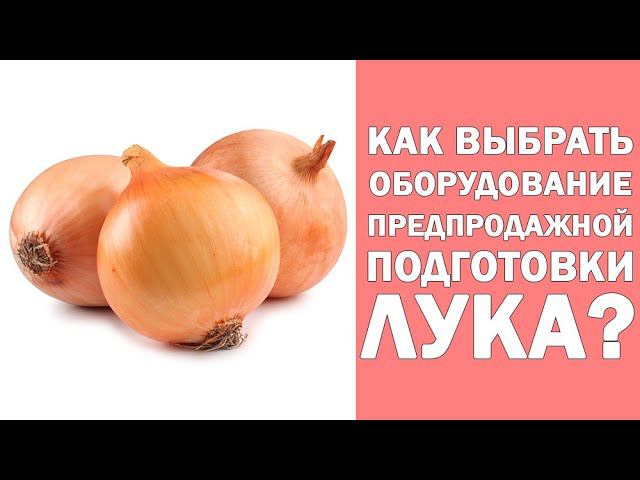 Оборудование для работы с луком. Как выбрать? смотреть онлайн