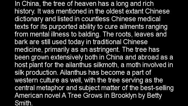 Ailanthus altissima смотреть онлайн