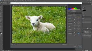 Как сделать теплую фотографию в фотошопе