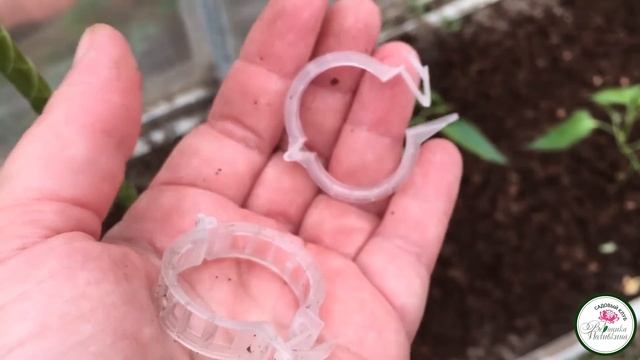 ВЫСАЖИВАЕМ РАССАДУ В ТЕПЛИЦУ смотреть онлайн