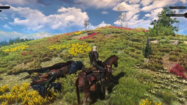 The Witcher 3: Wild Hunt - Griffin From The Highlands(Contract)