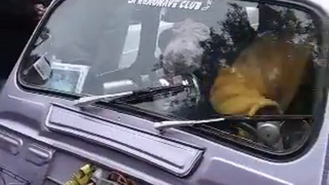 Club Renault 4 " La Renonave " Rosario, Argentina смотреть онлайн
