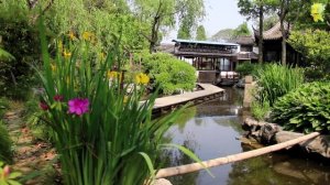 Китайская Венеция под Шанхаем - Чжуцзяцзяо/Город на воде