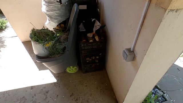 Огород, что в теплице, удалитель сорняков,#жизньвчастномдоме Одинковка смотреть онлайн