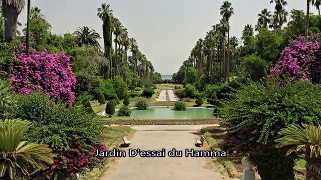 Algeria Алжир Путешествие и отдых