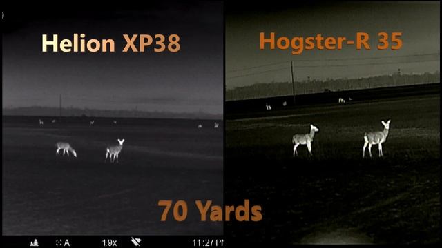 Pulsar Helion XP38 & Bering Optics Hogster-R 35 смотреть онлайн