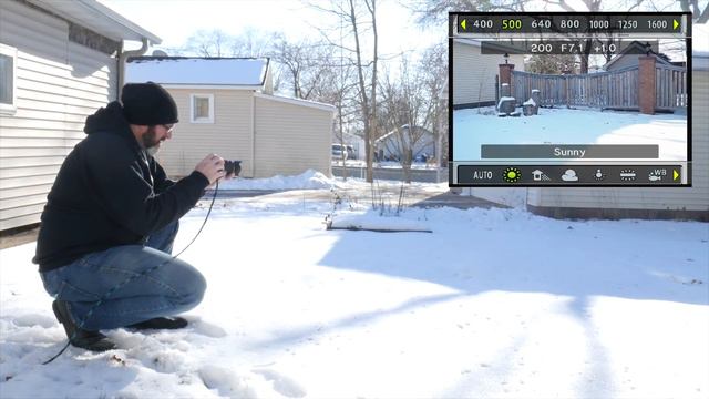 ISO Explained For Beginners