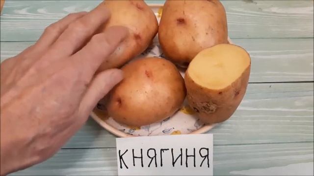 Картопля. Надійний сорт - гарантія великого врожаю. смотреть онлайн