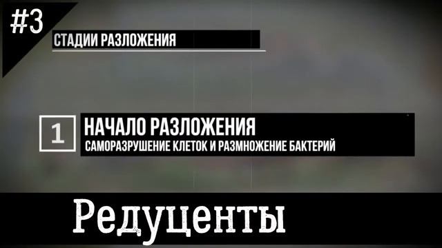 Экосистема. Компоненты экосистемы. Водные и наземные экосистемы. Биология 8 класс смотреть онлайн