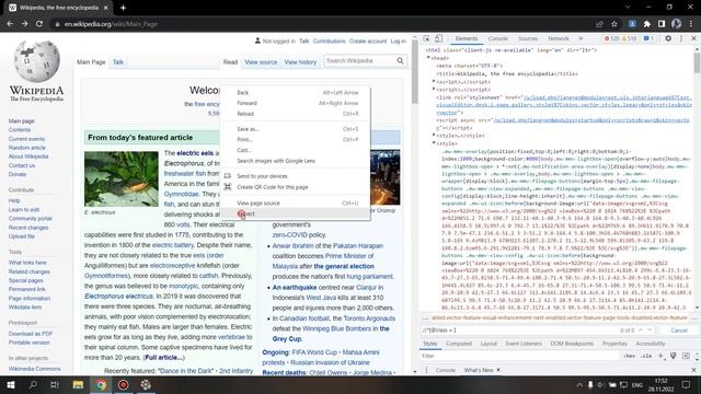 Lesson 42 Xpath смотреть онлайн