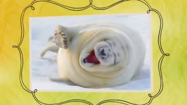 Для фото без повода смотреть онлайн