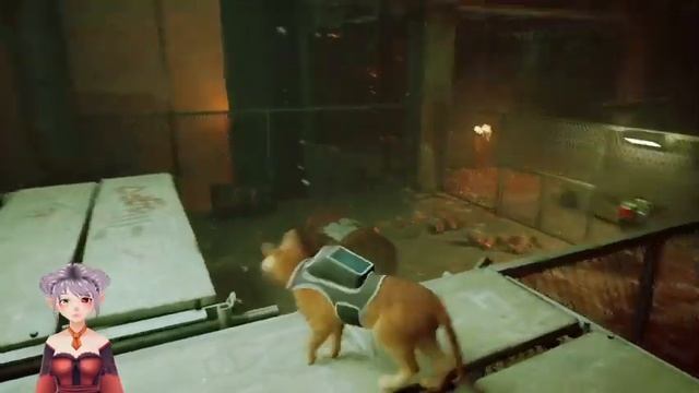Heroic KItty Saves the day! Stray! Part 2!!! смотреть онлайн
