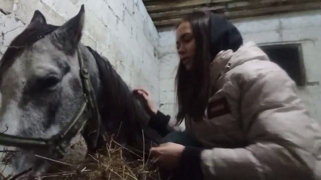 да сено дороже всего😂 смотреть онлайн