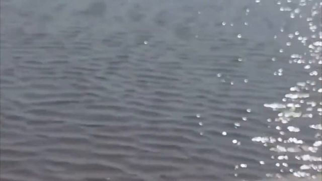 Дизельный вездеход Питон / ШОКавто смотреть онлайн