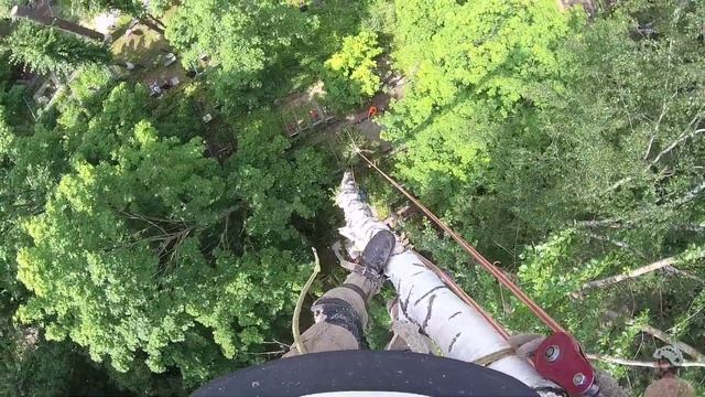 Как спилить высокое дерево по частям Объяснение в 2 словах смотреть онлайн