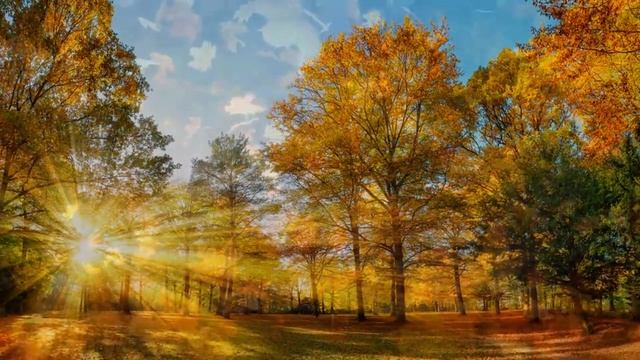 Осенняя Мелодия на гитаре (Рузавина и Таюшев) смотреть онлайн