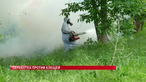 В Ростовской области от укусов клещей пострадали более 2500 тысяч человек