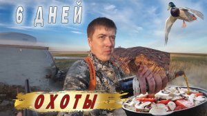 6 Дней весенней охоты. Очень много живности