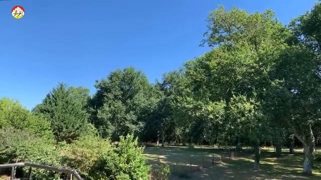 Профессия ОХОТНИК НА ШЕРШНЯ сезон 2020 + один укус смотреть онлайн