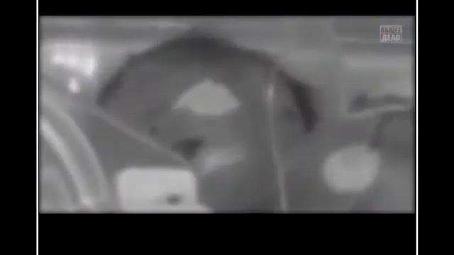 Искусство Сотворения