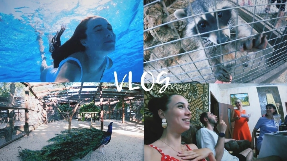 VLOG: КАМЕНСК-ШАХТИНСКИЙ, БАЗА ОТДЫХА ВЕНЕЦИЯ, ПАРК ЛОГА, ОБЗОР, ВСТРЕЧА С РОДСТВЕННИКАМИ смотреть онлайн