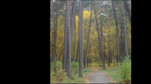 Лекарство от Меланхолии (ЛОМ) - 03. Осень в парке смотреть онлайн