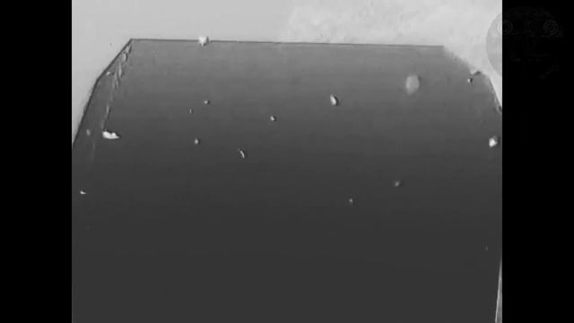 Скорбящий ремейк  Страшная история про Гамбола / Перевод от Псэнкос / VibingLeaf