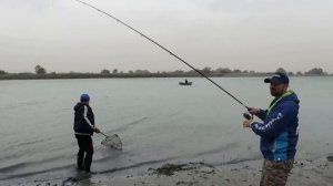 Осенний жор САЗАНА во время песчаной бури! река Дон, Рогожкино. Сазан не РВЕТ лески! Рыбалка 2020