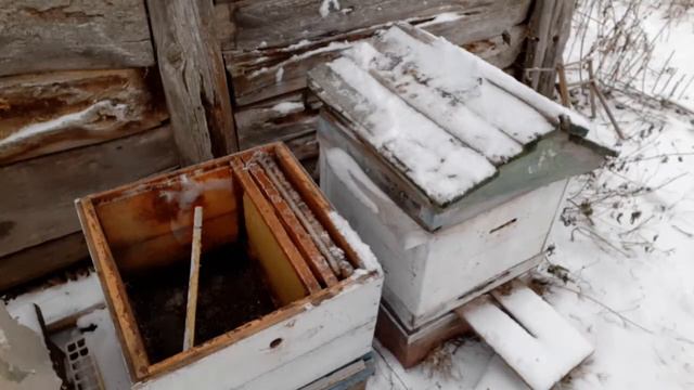 Осторожно юмор! Ветеринарные правила для пчел от чиновников смотреть онлайн