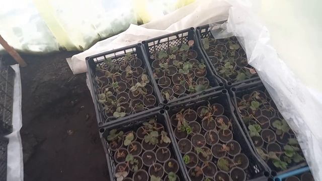 Спички детям не игрушки!!! Какой должна быть ЗКС. смотреть онлайн