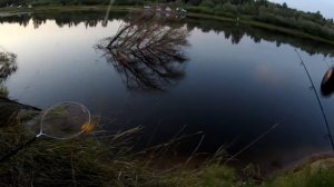 Рыбалка и отдых с семьей на реке Ахтуба. Клёв крупного карася на фидер .