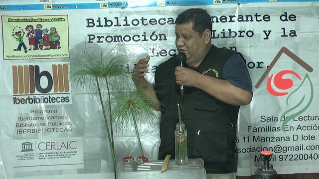 Papiro (Cyperus papyrus) смотреть онлайн