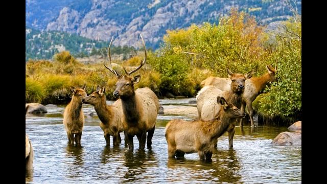 Планета земля. Почему нужно беречь природу?