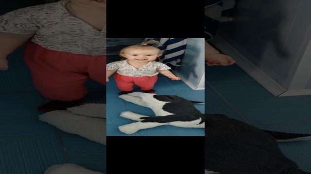 Кристина с собакой 😂