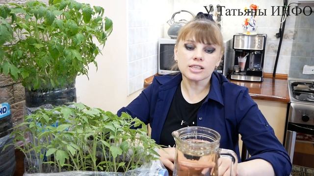 Даже САМАЯ ХИЛАЯ РАССАДА после ТАКОЙ ПОДКОРМКИ станет КРЕПКОЙ и пойдет в РОСТ !!! смотреть онлайн