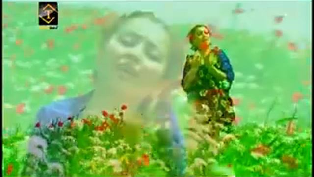 Firuza Hofizova - Ochajon