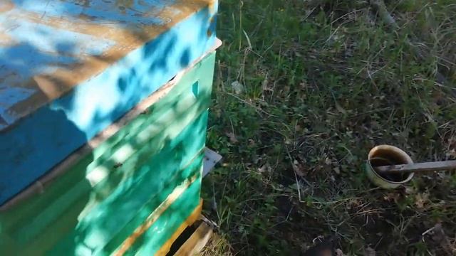 #мед, #сотовыймед, #пасика,                                                      ⚡Рамки сотовый МёД