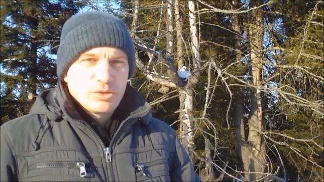 Я открыл 20 закономерностей в структуре Солнечной системы. Кратко от 20.02.2022 г. смотреть онлайн