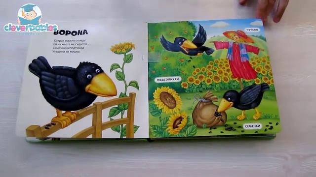 Азбукварик. Воробьишкин дворик. Видео-обзор смотреть онлайн