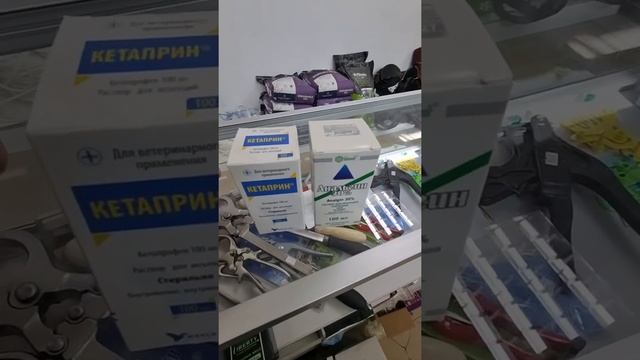 Жылқы түйнек ауруы (колики у лошадей) смотреть онлайн