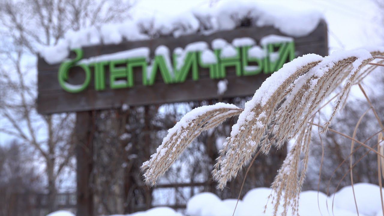 Парк "Тепличный" по-зимнему приоделся смотреть онлайн