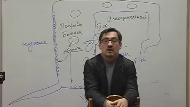 Заболотный К.Б. Часть 8 смотреть онлайн