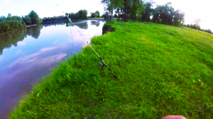 Рыбалка на фидер на реке Алей Сазан, карась, подлещик