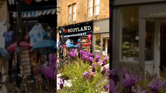 Loving fabulous snippets of Cockburn Street, a picturesque street located in Edinburgh's Old Town.? смотреть онлайн