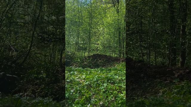 #Поиск экспедиция «#Долина»2023 г.., Казахстан, Петропавловск, военно-патриотический клуб ￼ «Саланг